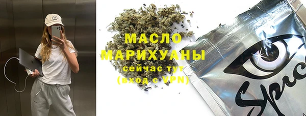 стаф Шадринск