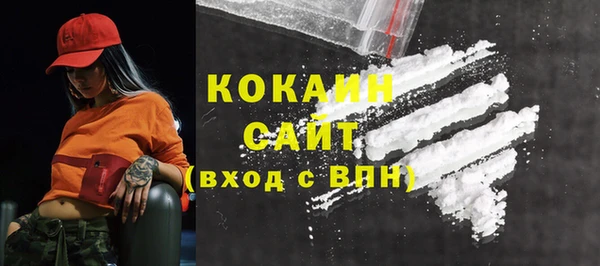 СК Елизово