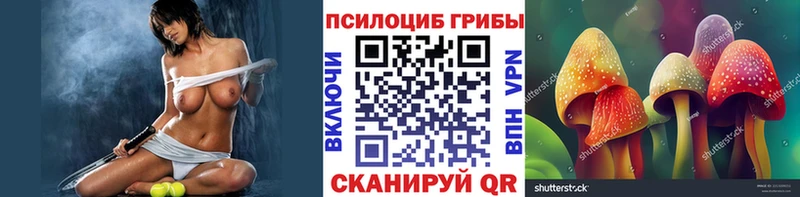 Псилоцибиновые грибы Psilocybe  Купить закладки  Печоры